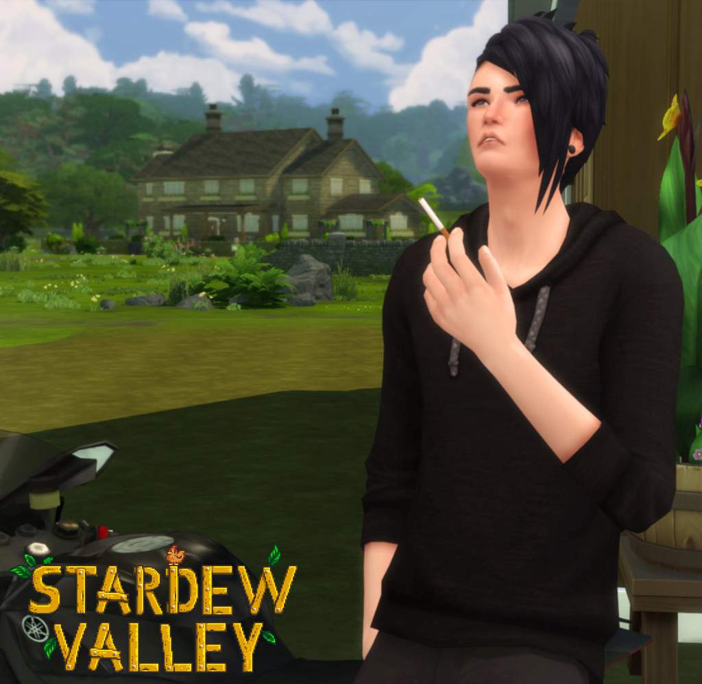 stardew-valley-cas-3-sims-amino