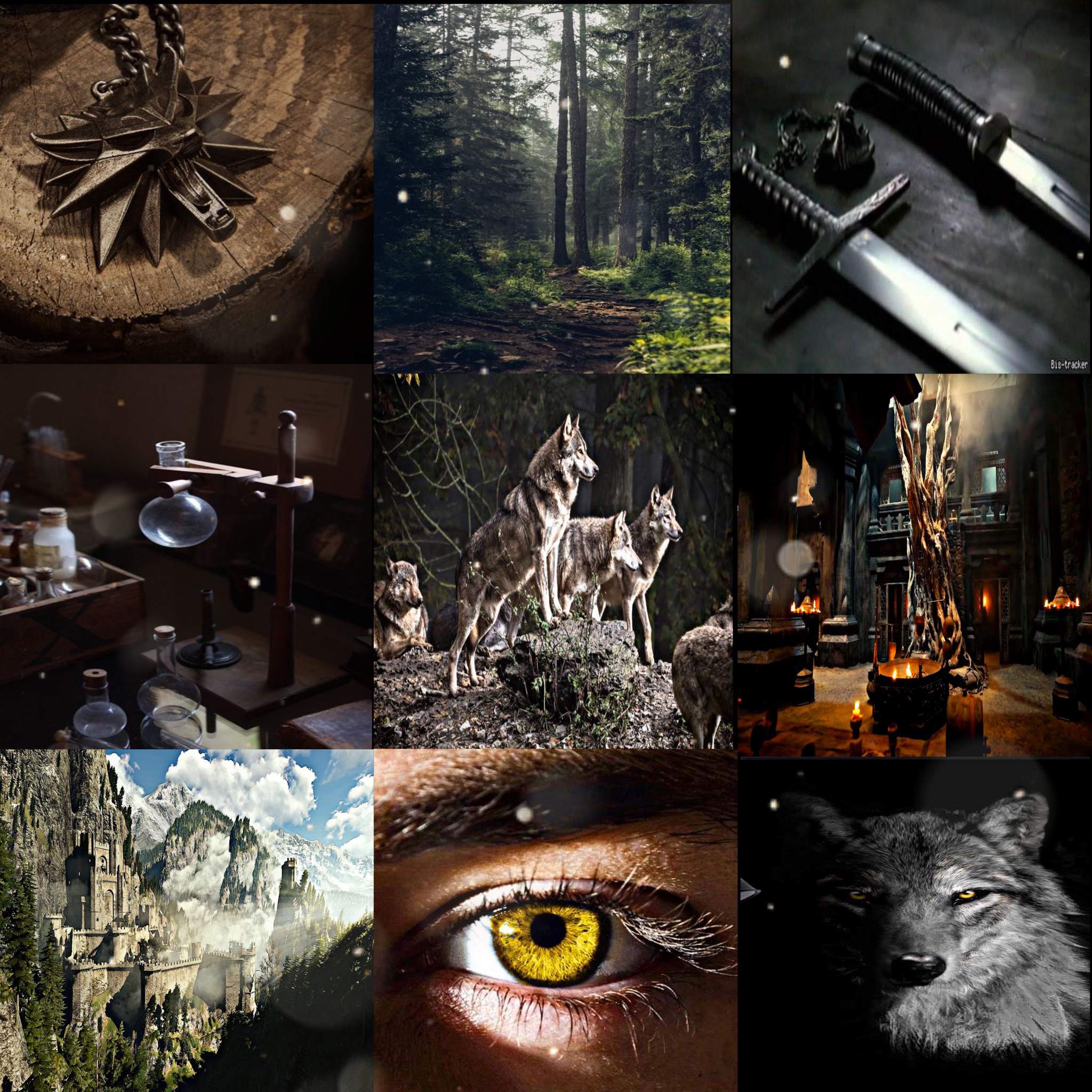 🐺Wolf Witcher aesthetic🐺 | The Witcher Amino Amino