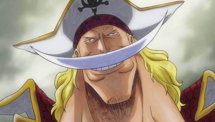 Barba Branca Wiki One Piece Brasil Amino