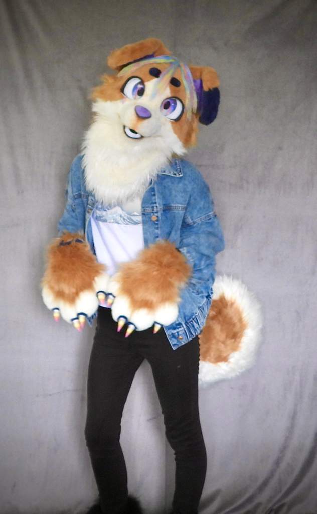 Complete Fursuit Premades!! | Fursuit Maker Amino Amino