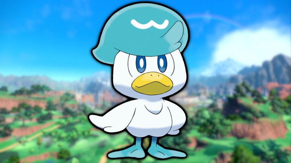 Kwaks | Wasser-Starter | Wiki | Pokémon Karmesin und Purpur Amino