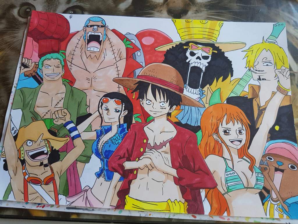 Redrawing One Piece | 🔸German Anime🔸 Amino