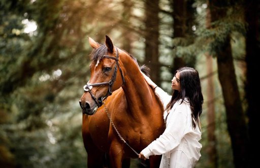 petz horse club can caramel grow up