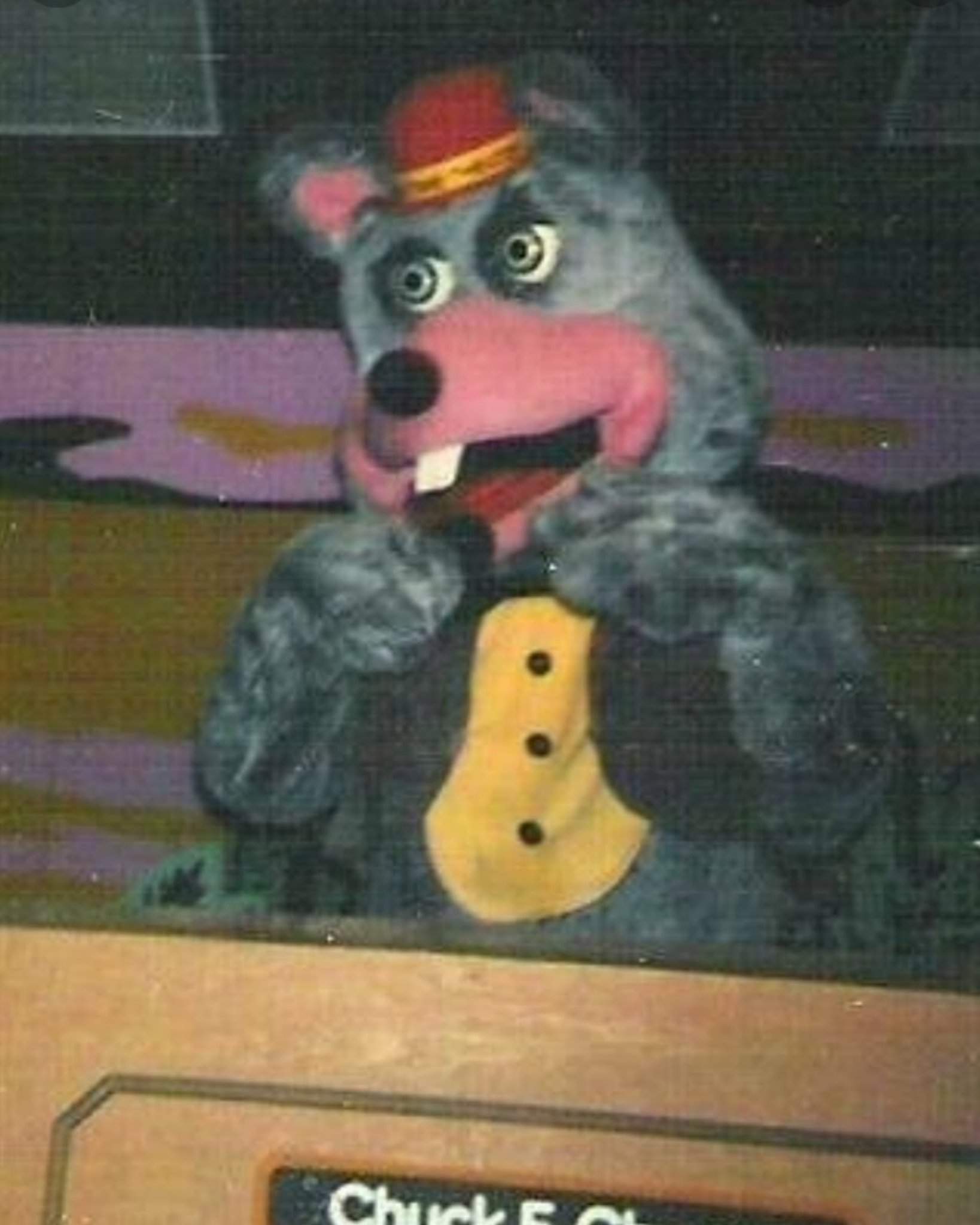 Is it just me or does he look shocked lol | Chuck E Cheese's Amino Amino