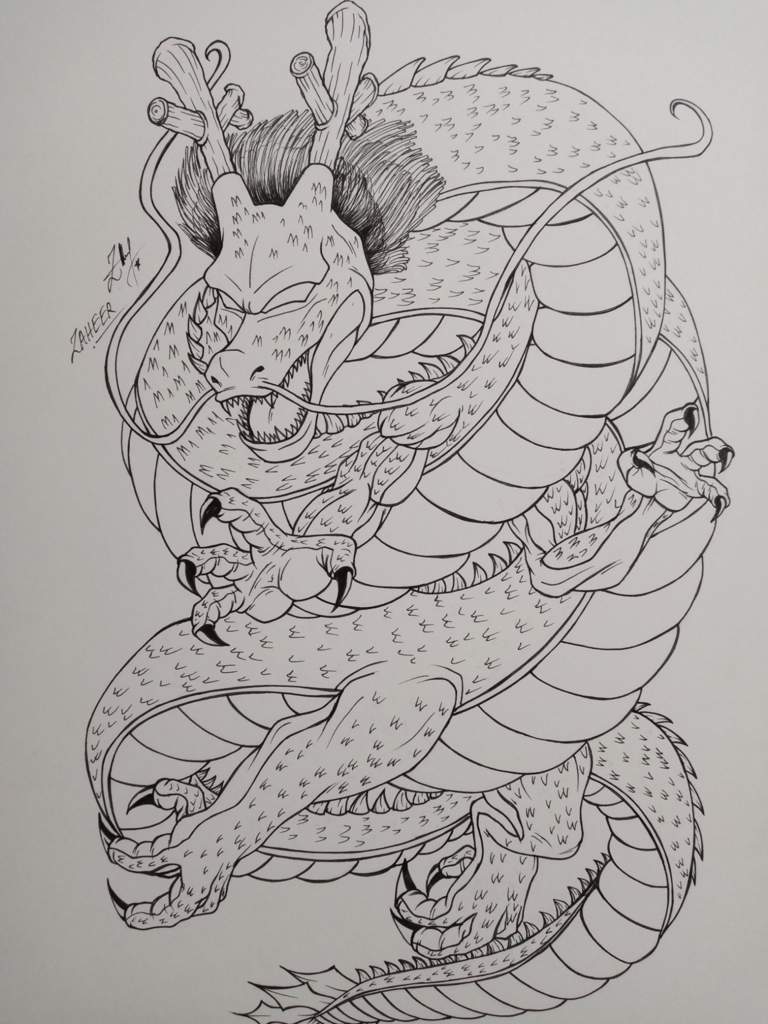 Drawing Shenron Dragon - DBZ Wish Dragon | Anime Amino