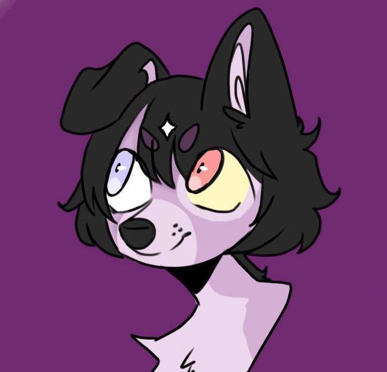 Star's transition | Wiki | Furry Amino