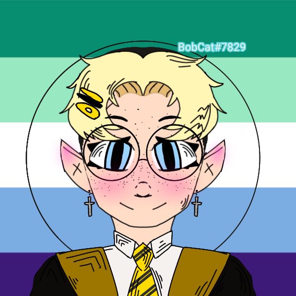 Ace Potter Wiki Harry Potter Roleplay Amino Amino 1219