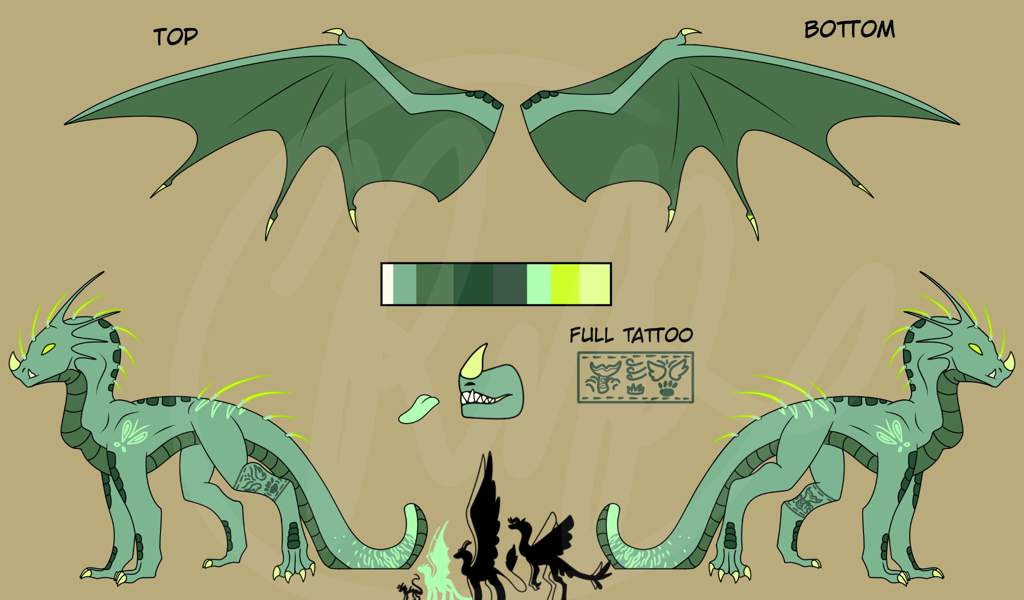 New design reference sheets! | Dragons! Amino