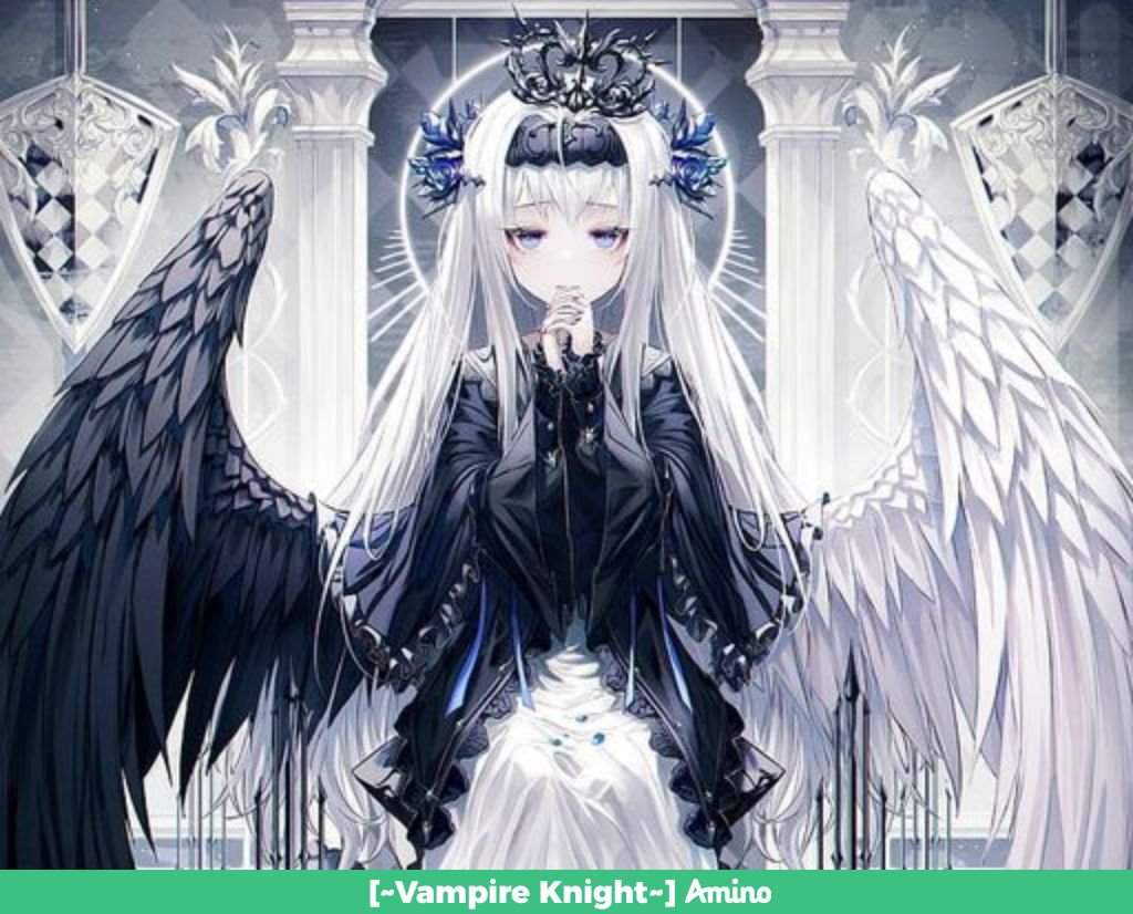 Mizuki Knight | Wiki | [~Vampire Knight~] Amino