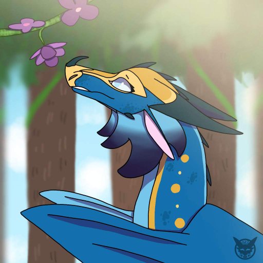 Seawing Name Generator Wiki Wings Of Fire Amino