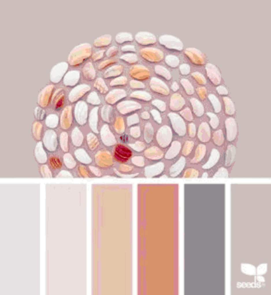 Палитра цветовые схемы Seeds