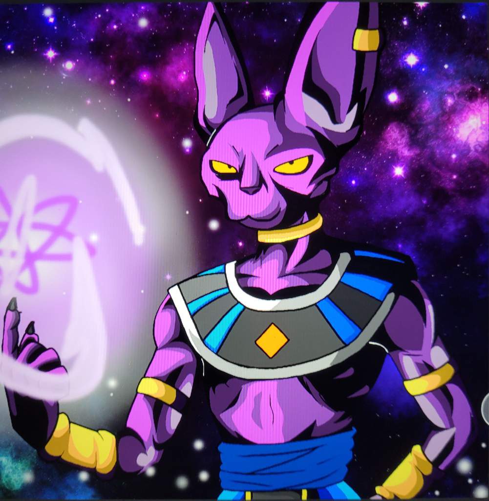 The Best Cat | DragonBallZ Amino