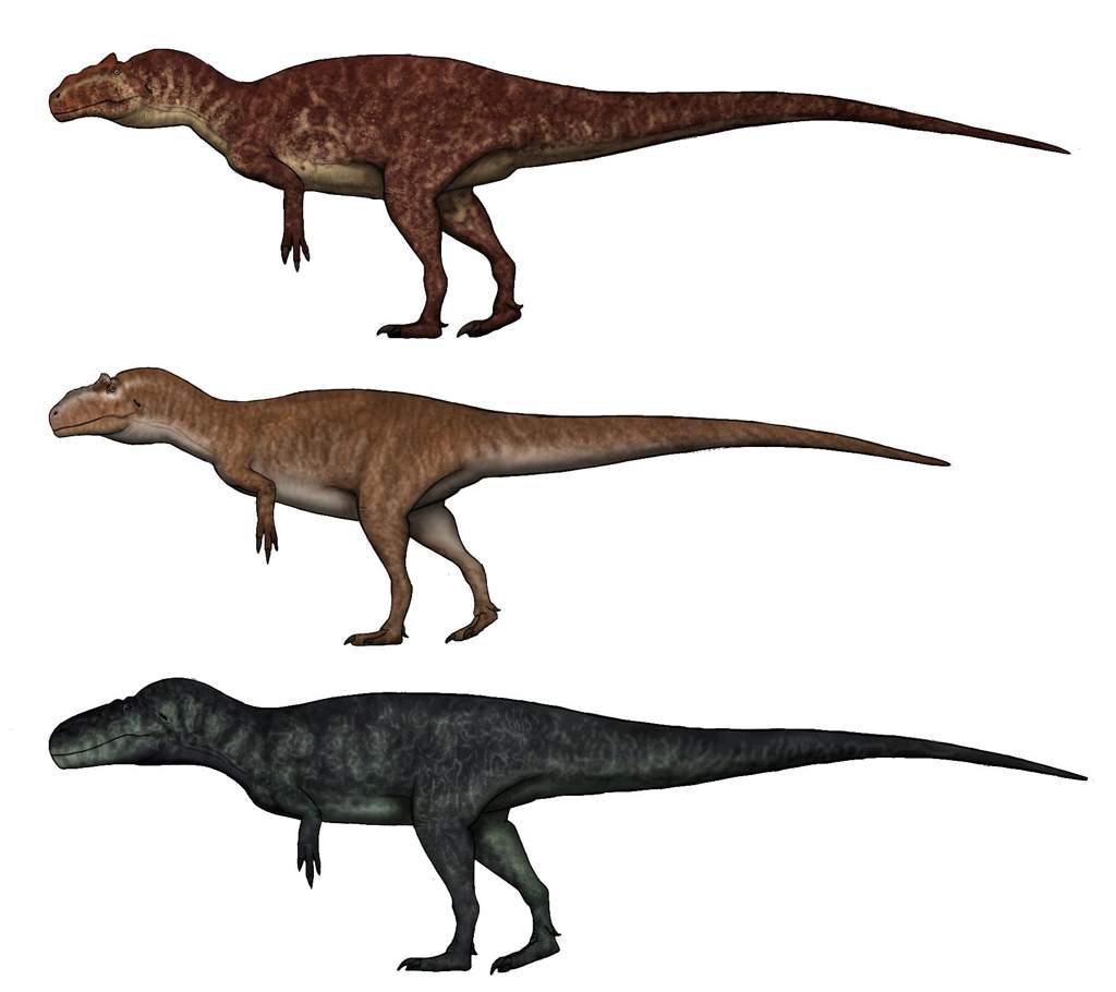 Заурофаганакс. Заурофаганакс и Аллозавр. Аллозавр Максимус. Заурофаганакс Планета динозавров. Заурофаганакс Максимус.