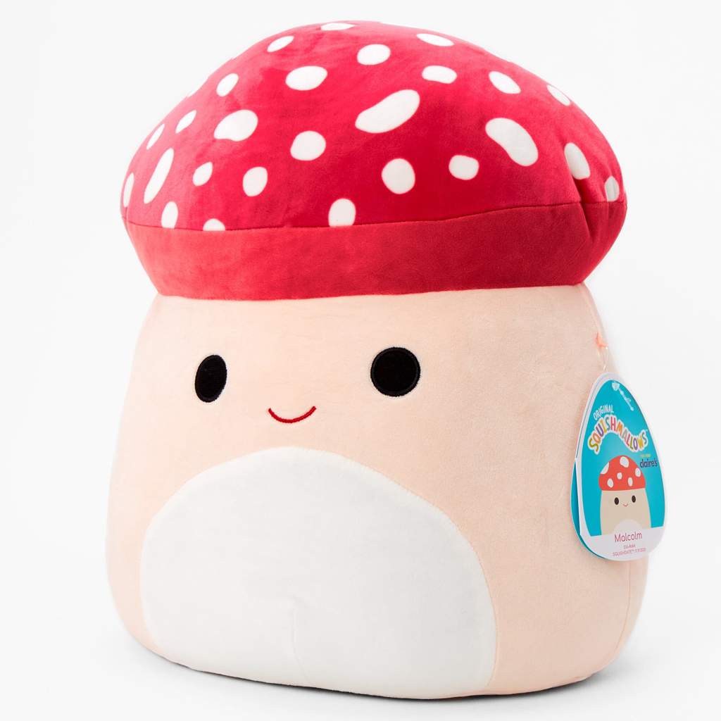 which-squishmallow-should-i-get-squishmallow-lovers-amino