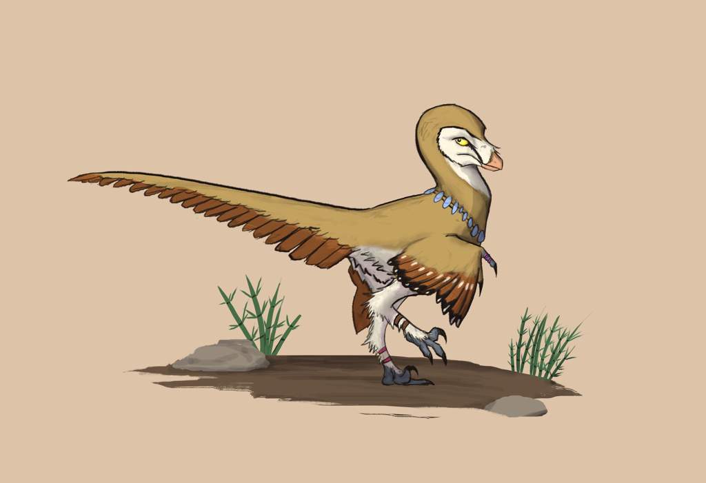 Pectinodon Wiki Jurassic World Ru Amino