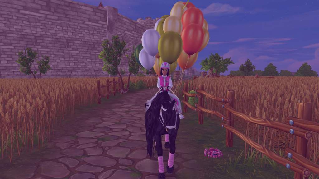 My Birthday | Star Stable Online Amino