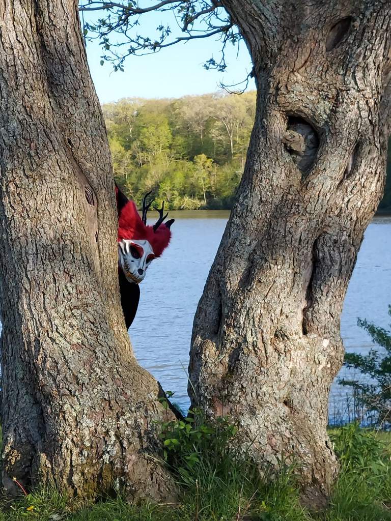 Alastor Fursuit Head Photoshoot Hazbin Hotel Official Amino