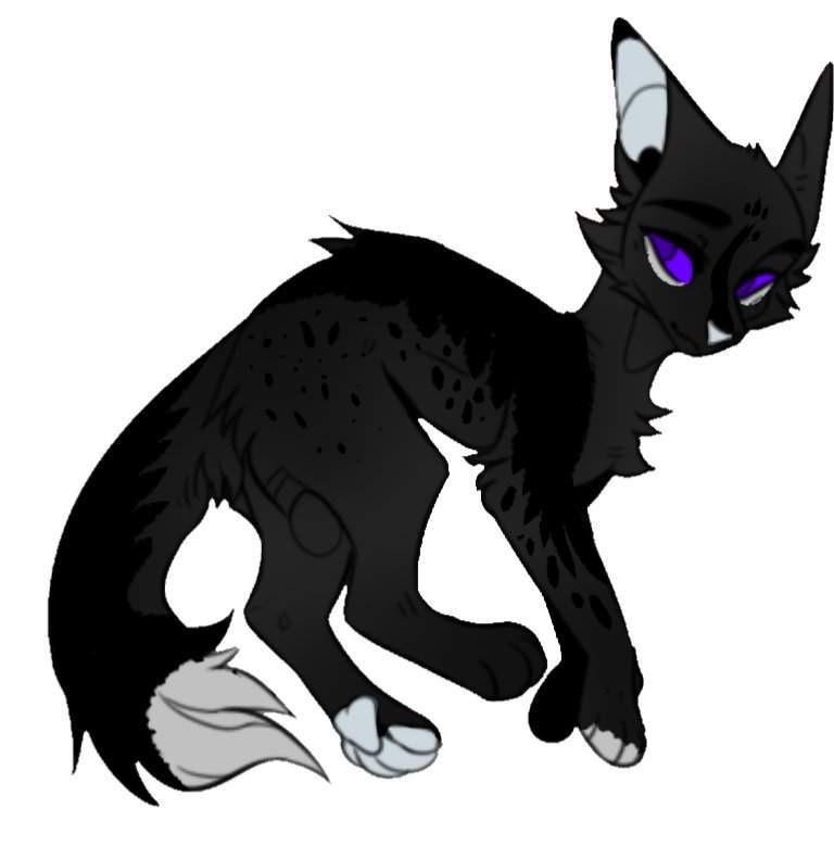 Ravenfeather - Offical Wiki | Wiki | Warrior Cats 6 Clans! (WC6C) Amino