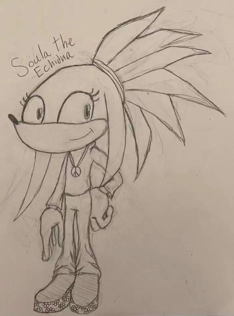 Soula The Echidna | Wiki | Sonic the Hedgehog! Amino