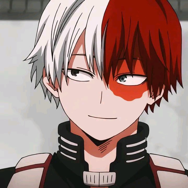 Shoto🦋 | Wiki | Anime Amino