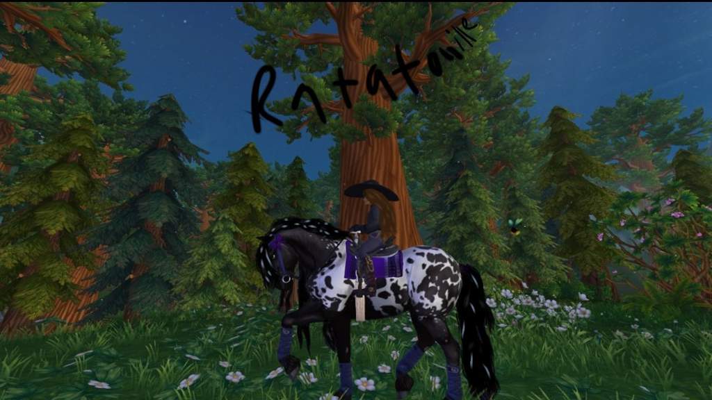 Here is some sso eidts and drawings | Star Stable Online Amino