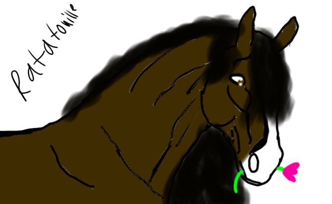 Here is some sso eidts and drawings | Star Stable Online Amino