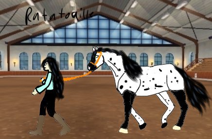 Here is some sso eidts and drawings | Star Stable Online Amino