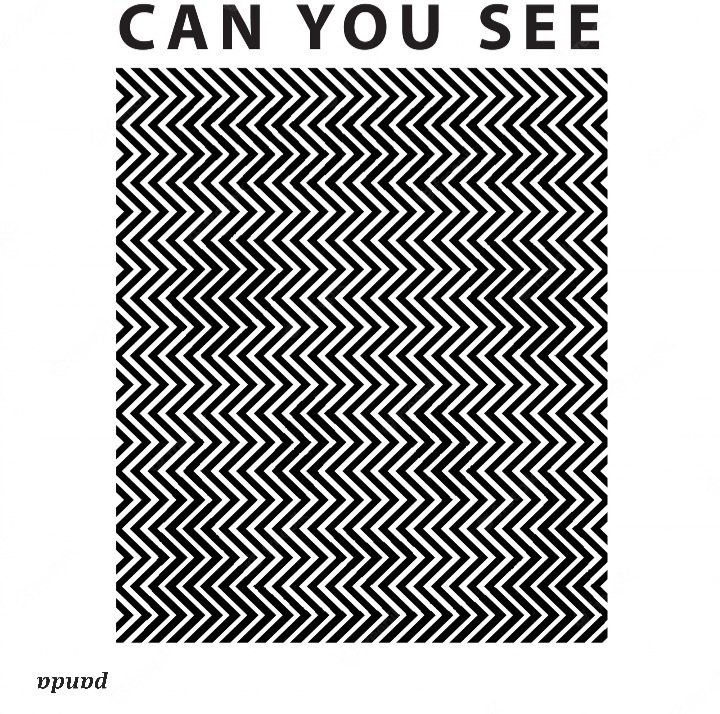 Can you see the hidden animal? | Optical Illusion Amino