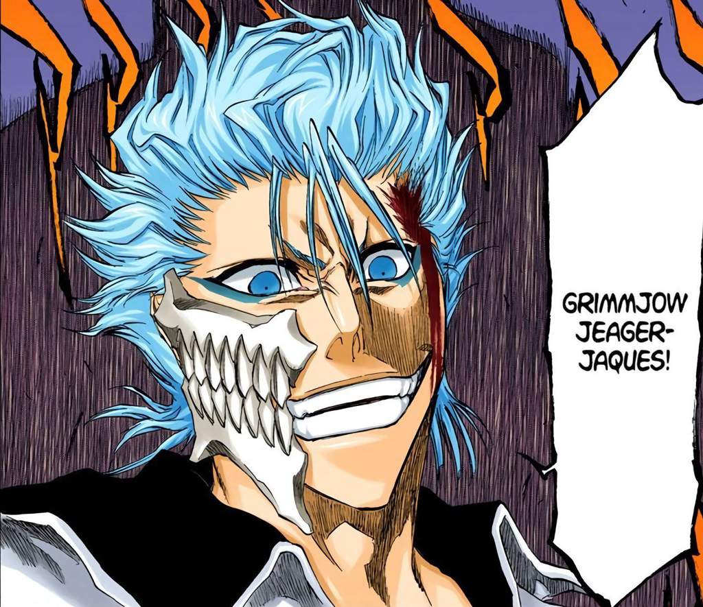 Grimmjow Jaegerjaquez | Wiki | Anime Amino