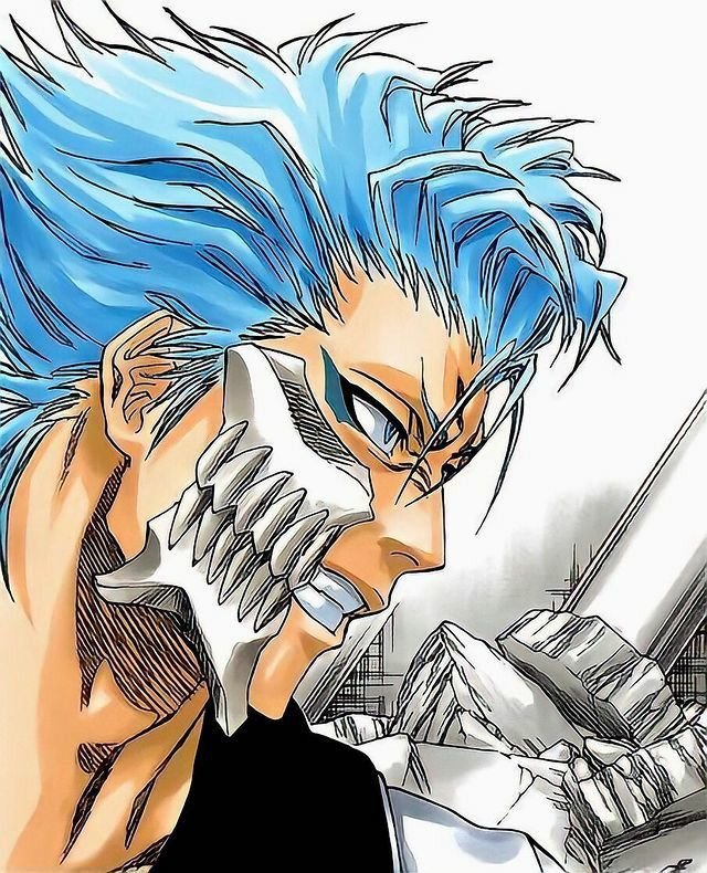 Grimmjow Jaegerjaquez | Wiki | Anime Amino