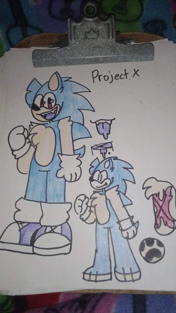 sonic the hedgehog project x