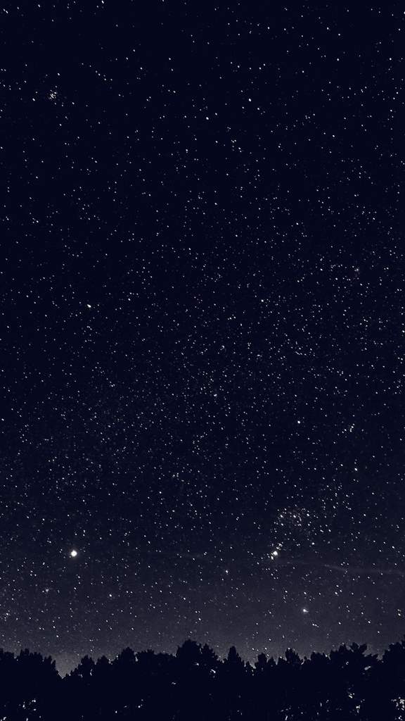 The night sky ; Unity prompt 08 Warriors Amino