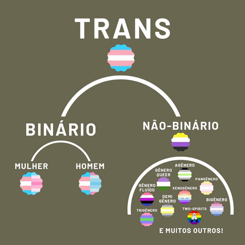 Qual A Diferença Entre Gênero E Sexo ⠀lgbt™ Amino 2802