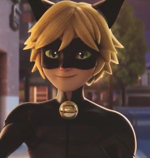 Chat noir smirk