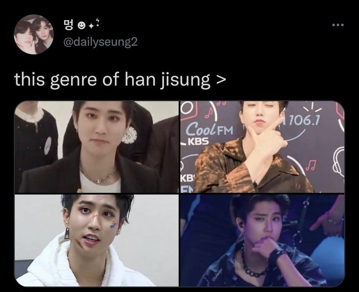 Han meme, the meme is from Pinterest. Owner: ctto | Stray Kids Amino