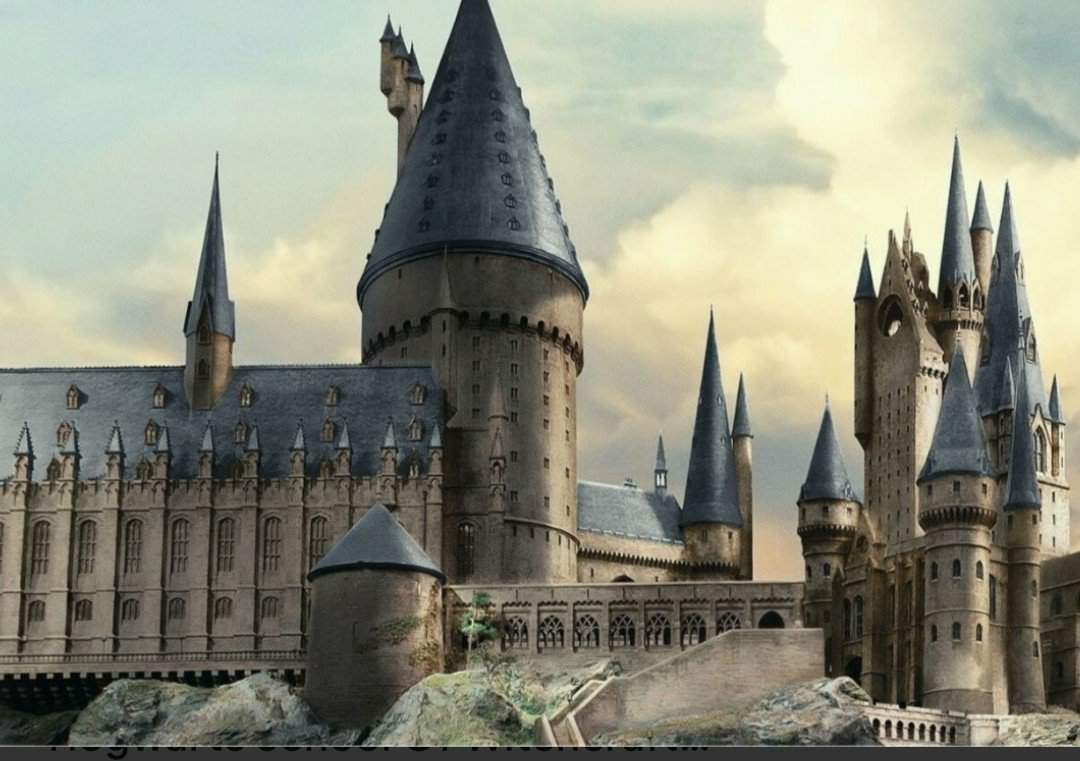 AH OC 2022 | Wiki | Harry Potter Amino