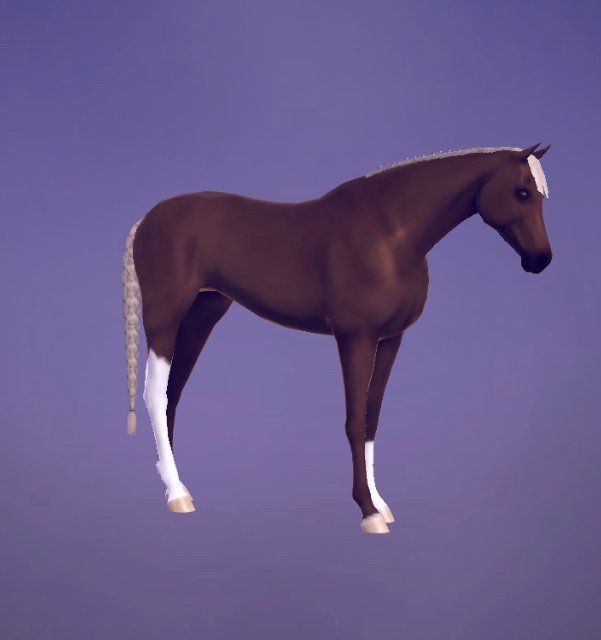 Dally | Wiki | Horse Rp Amino Amino