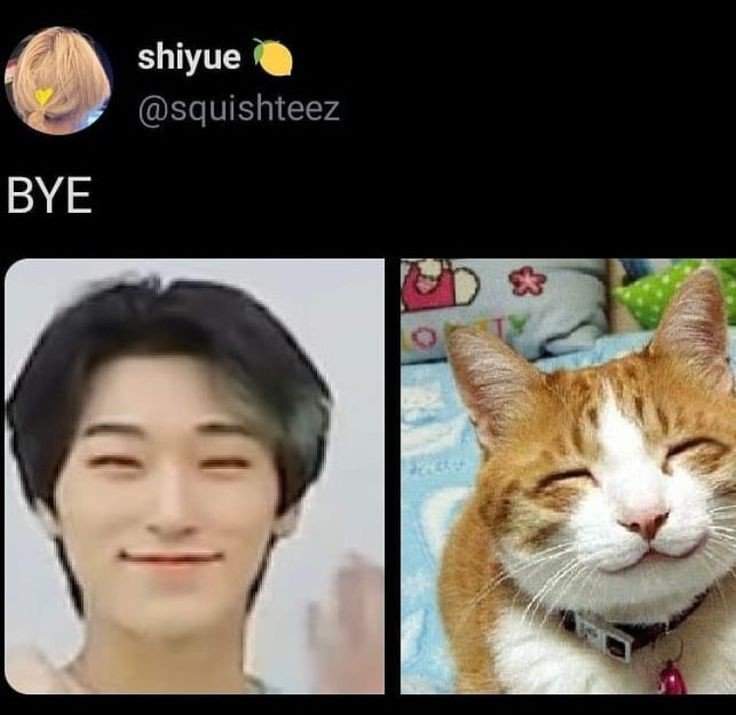 San meme, the meme is from Pinterest. Owner: ctto | ATEEZ AMINO Amino