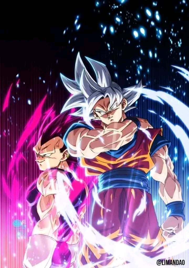 Kakaroto & Vegeta | Wiki | Dragon Ball Super Oficial™ㅤ Amino