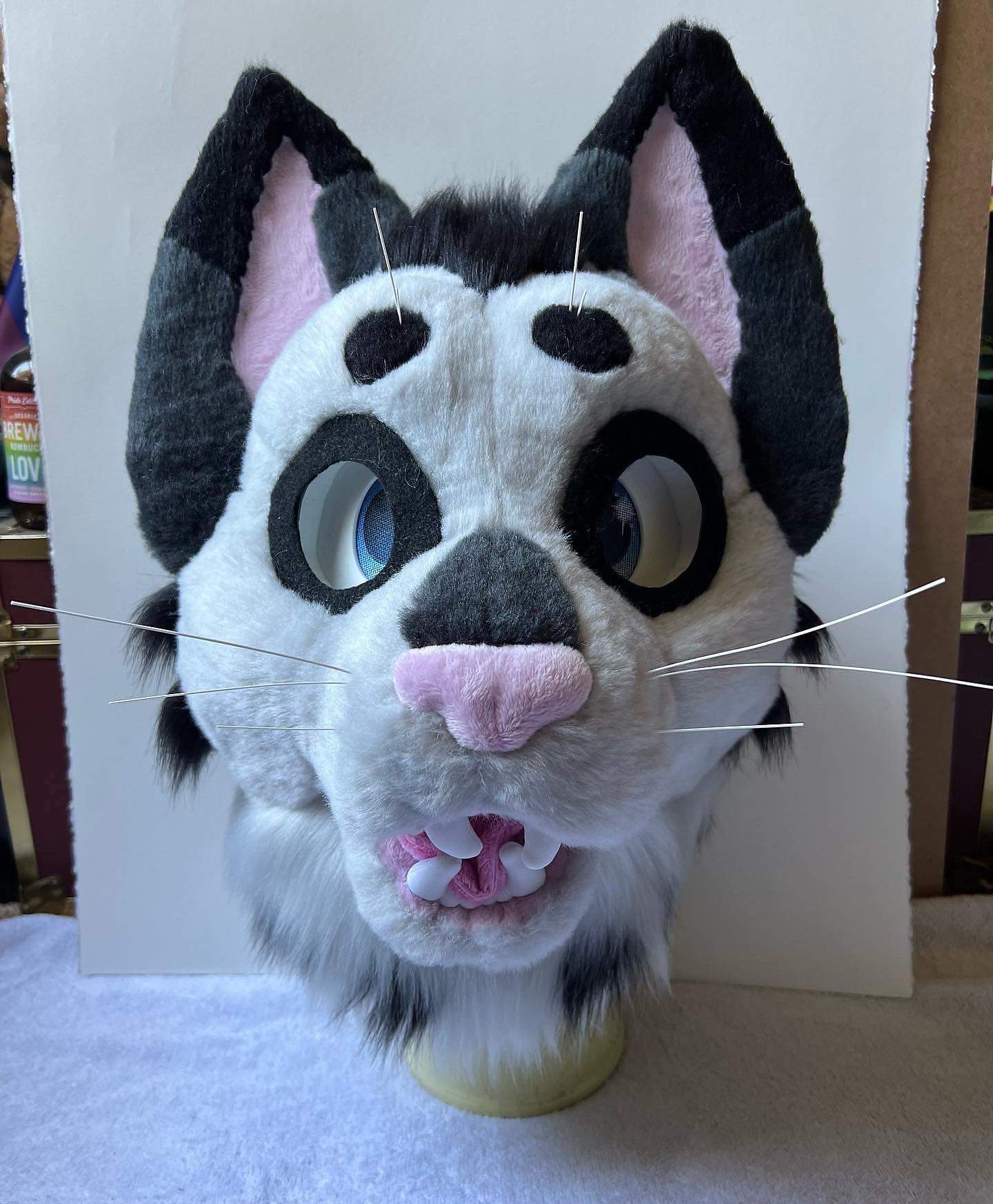 Charity Cat Fursuit | Fursuit Maker Amino Amino