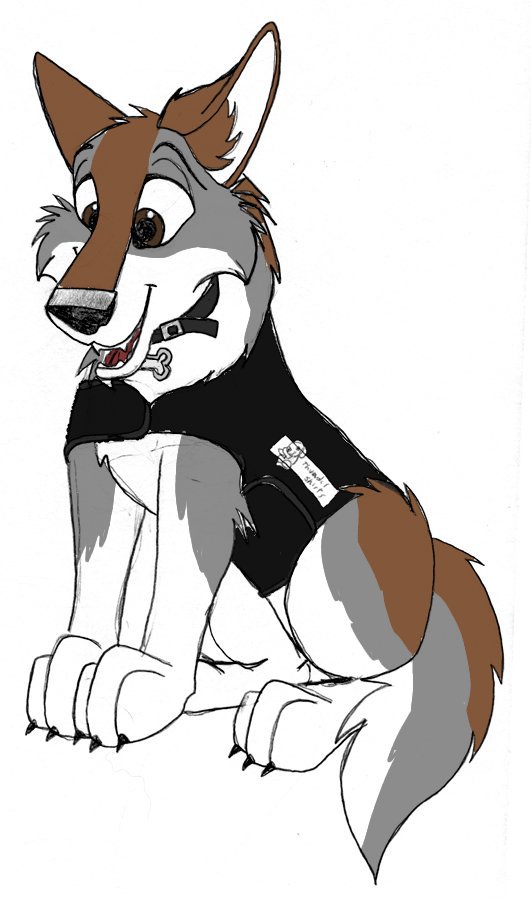 Johana the police wolf. | Wiki | Balto Amino