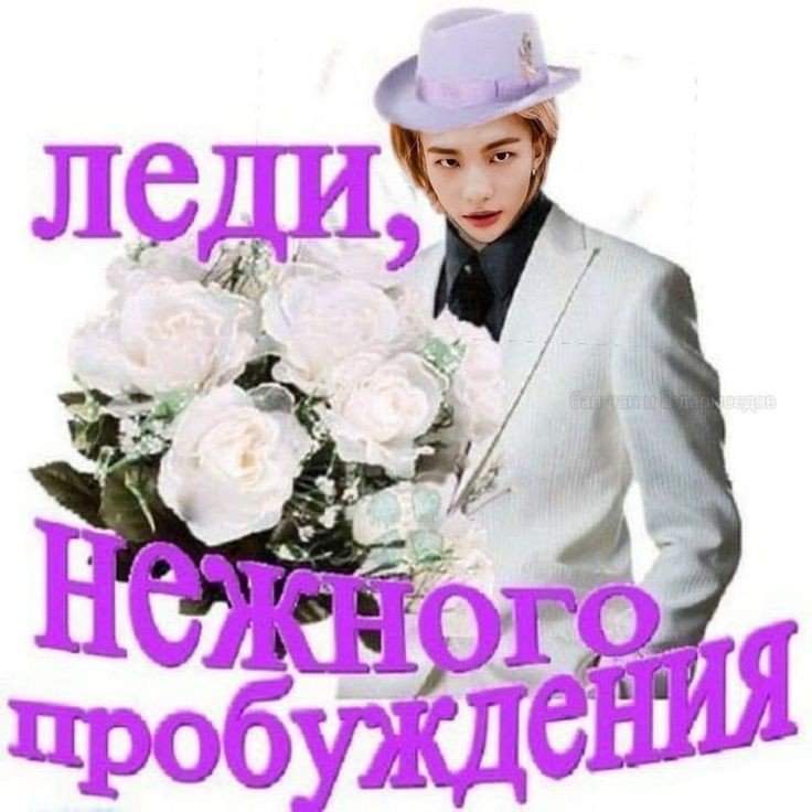 Нежного пробуждения леди картинки