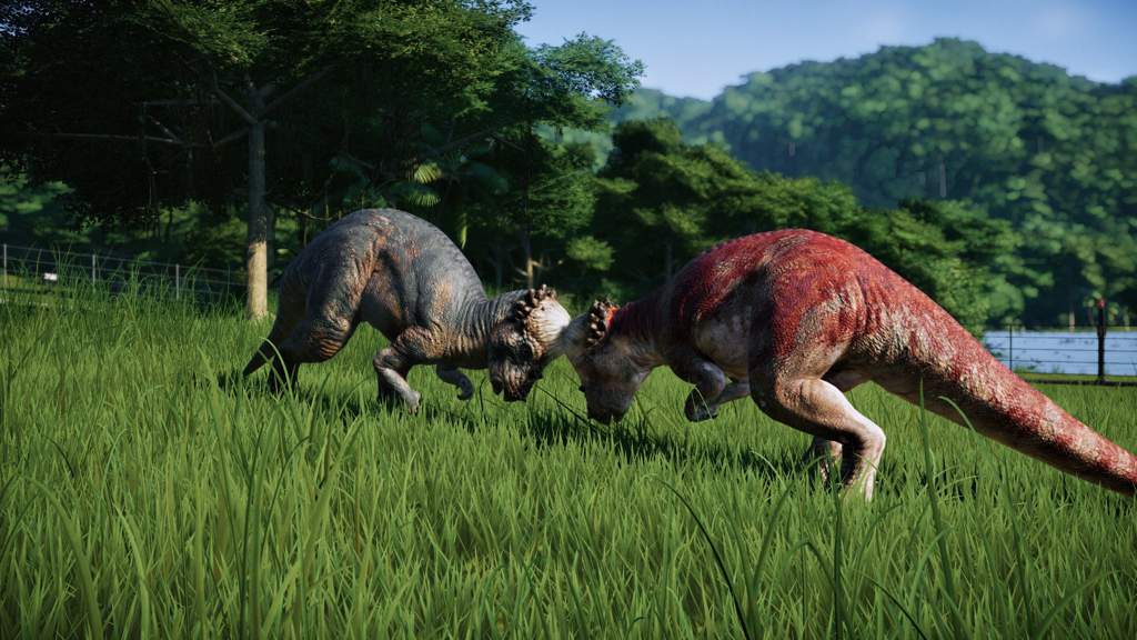 Pachycephalosaurus Jurassic World Evolution Wiki Jurassic Universe Jpjw Amino 5755