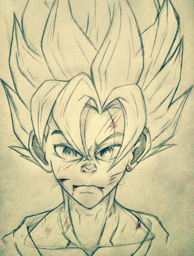 Goku | Wiki | •Anime• Amino