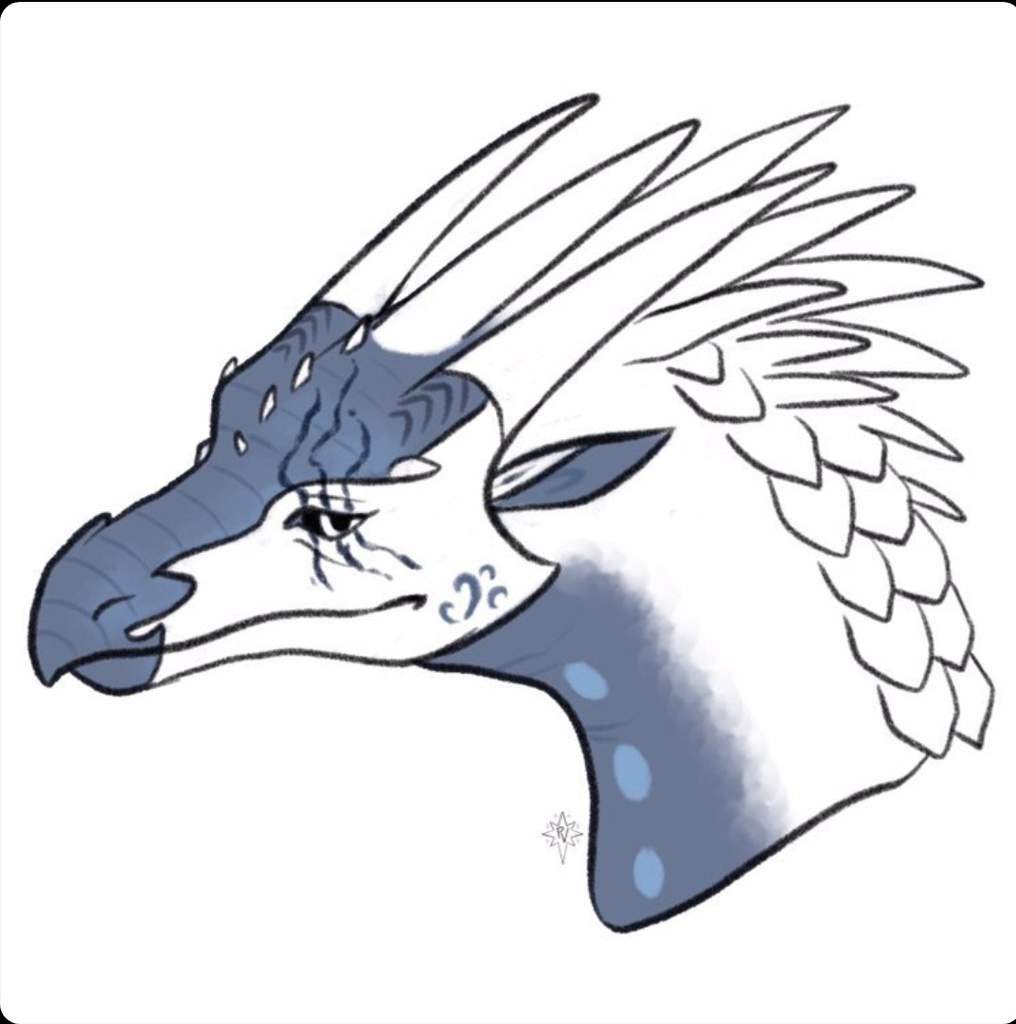 𝙁𝙟𝙤𝙧𝙙 | Wiki | Wings Of Fire Amino