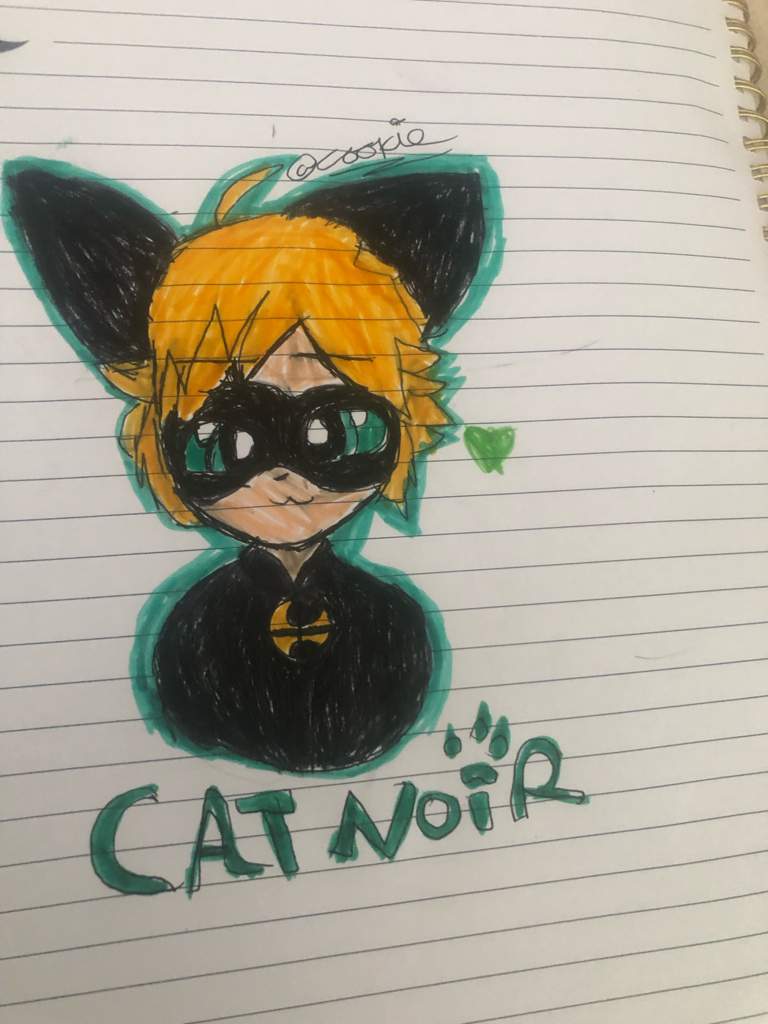 Cat noir and zoey lee | ¡Miraculous Ladybug! Amino