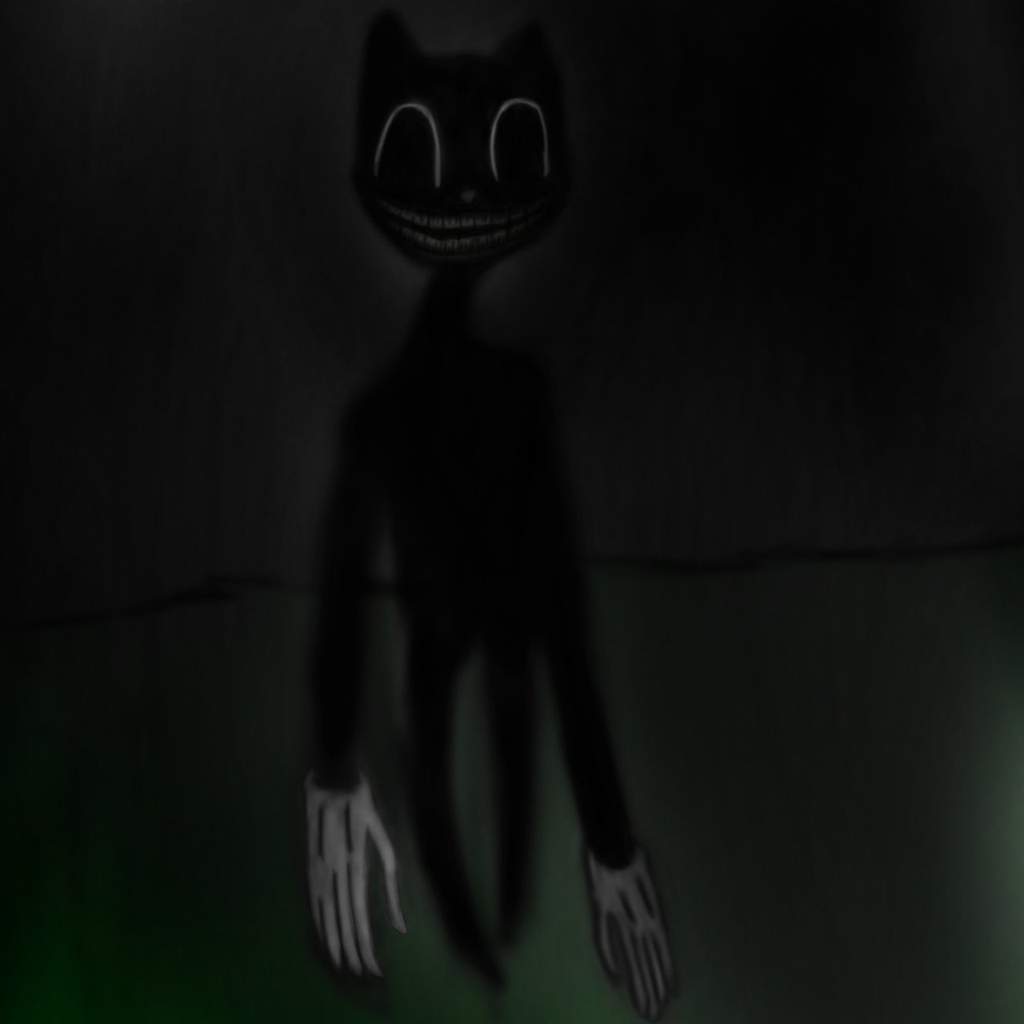 The Cartoon Cat Cartoon Cat and Dog Amino Amino