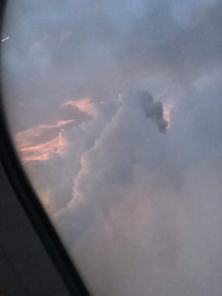 Head stuck in the clouds ☁️ literally Alation Grow Wings Amino