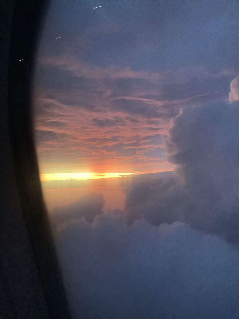 Head stuck in the clouds ☁️ literally Alation Grow Wings Amino