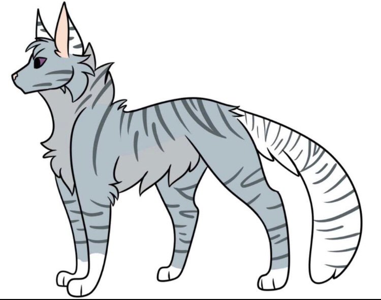 Willowkit•} | Wiki | Warrior Cats 6 Clans! (WC6C) Amino